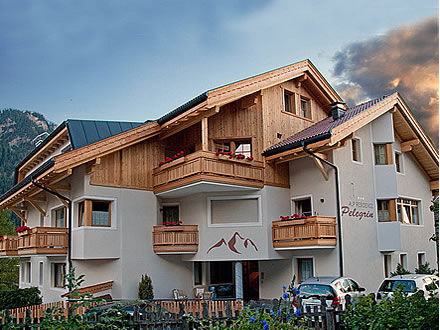 Residence Pelegrin - Kronplatz