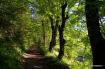 Pederoa - Pramperch - Aiar�i - Picedac