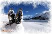 Fanes in libert�