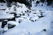 Fanes in libert�