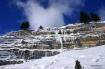 Fanes in libert�