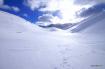 Fanes in libert�