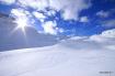 Fanes in libert�