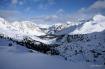 Fanes in libert�