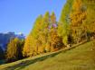 Fr�ines Torones