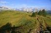Pralongi�