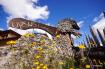 Statua dell�Ursus ladinicus vicino al ristorante Tana Dell�Orso a Oies