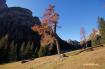  Valle Verde / Gr�nwaldtal