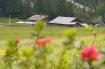 Gr�nwaldh�tte (1590 m)