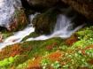 Ciastlins - Senes - Peder�