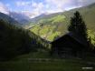 Longiar�
