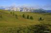 Pralongi�
