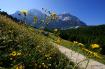 Sp�scia