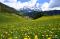 Corn - Rit - Crusc de Rit (Viewed: 11420)