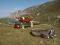 Lech dla Cr�da - Ciastlins - Fojed�ra