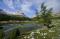 Fanes - Ra Stua - Fodara Vedla (Viewed: 12514)