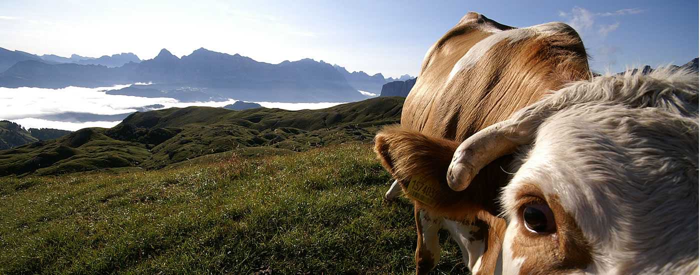 Escursioni e attività nelle Dolomiti