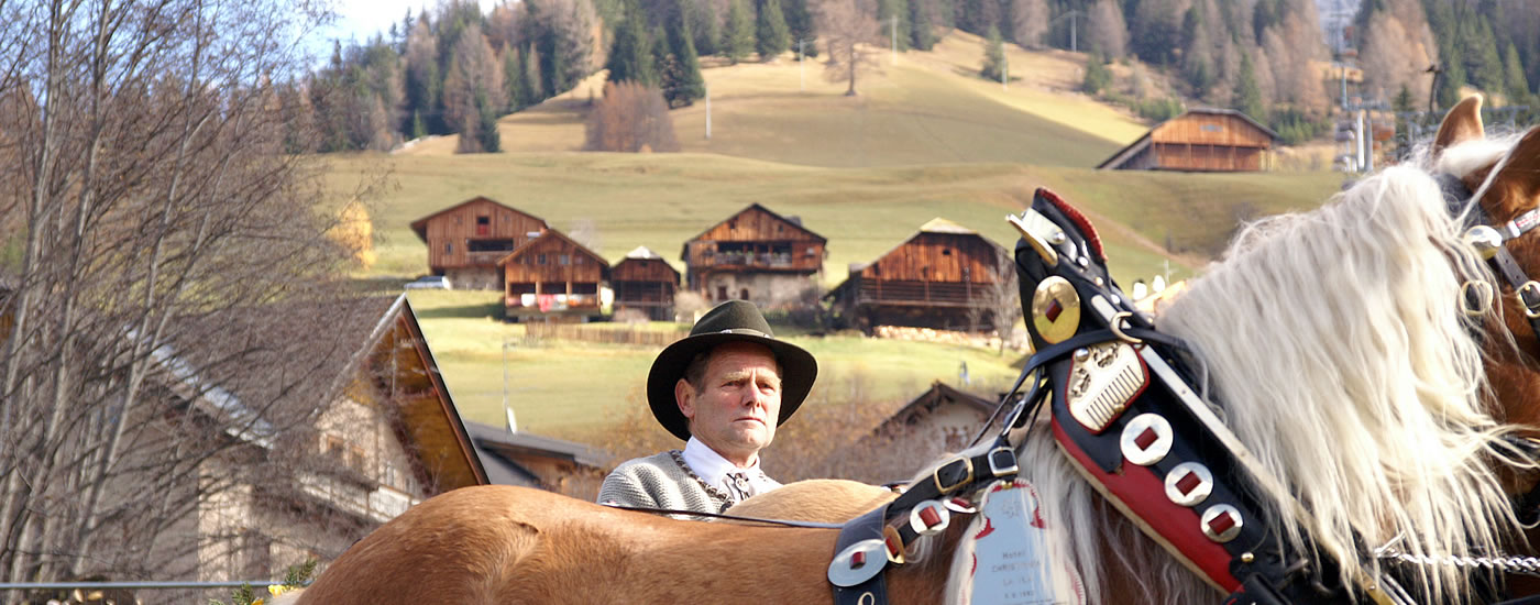 Hotel, appartamenti, b&b in Alta Badia