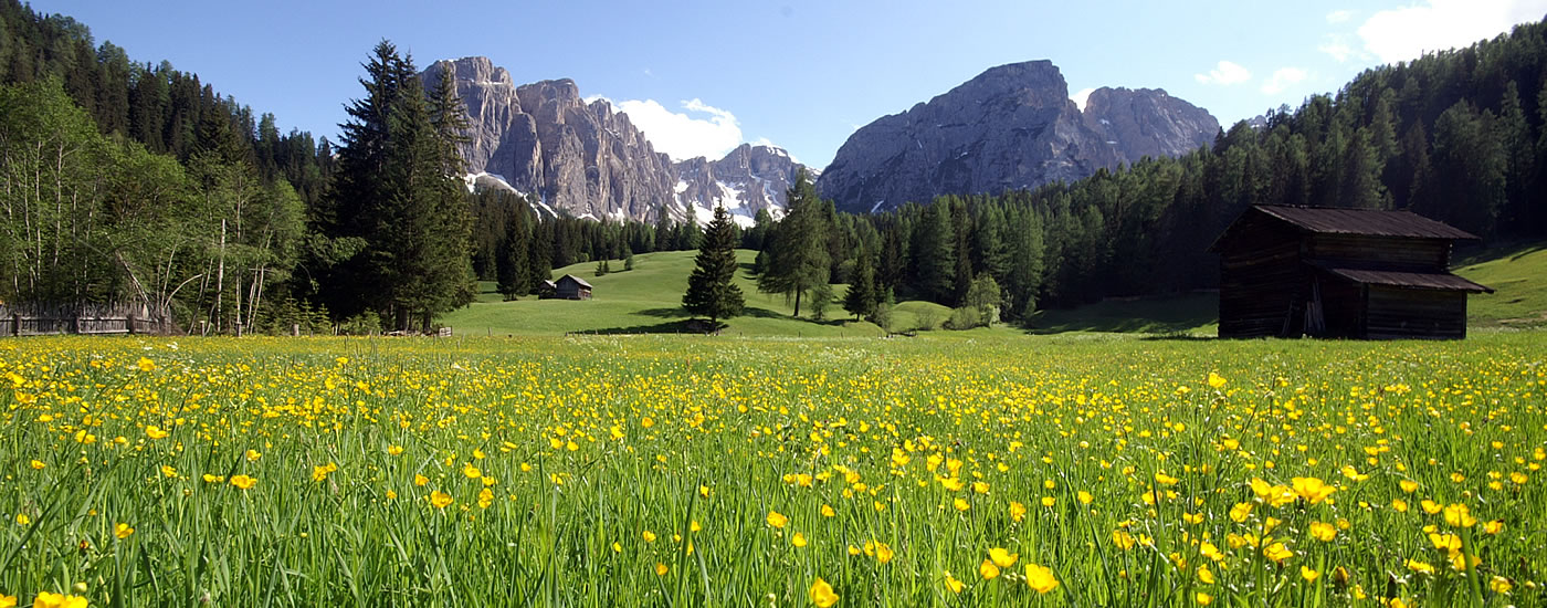 San Martino in Badia, Longiarù and Antermoia