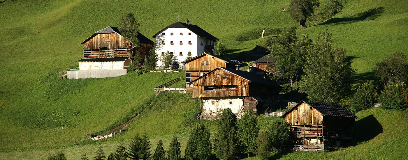 Farm holiday, guest houses and refuges at Kronplatz