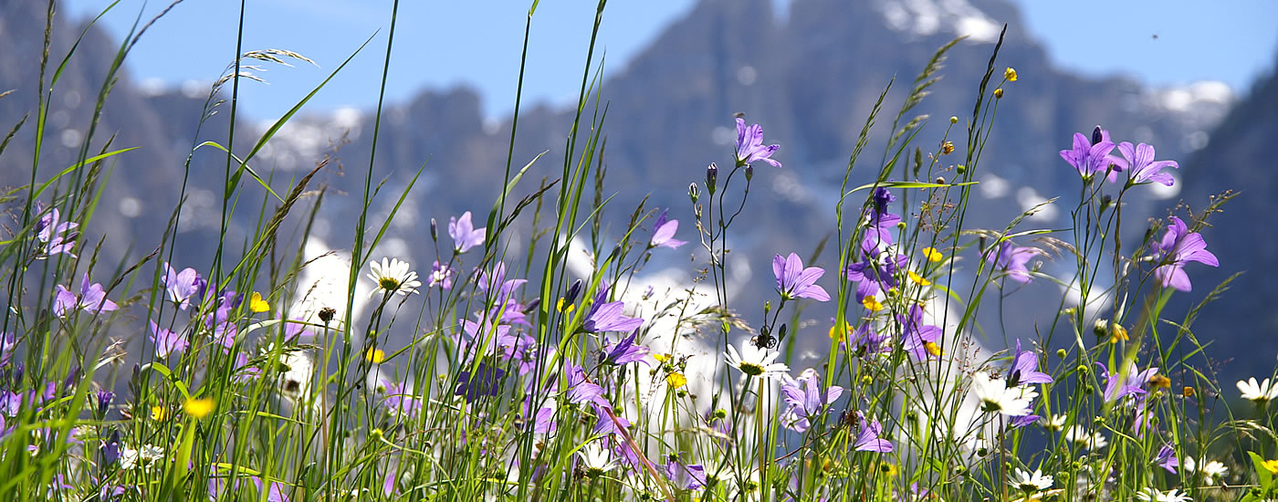 Corvara, Colfosco, San Cassiano