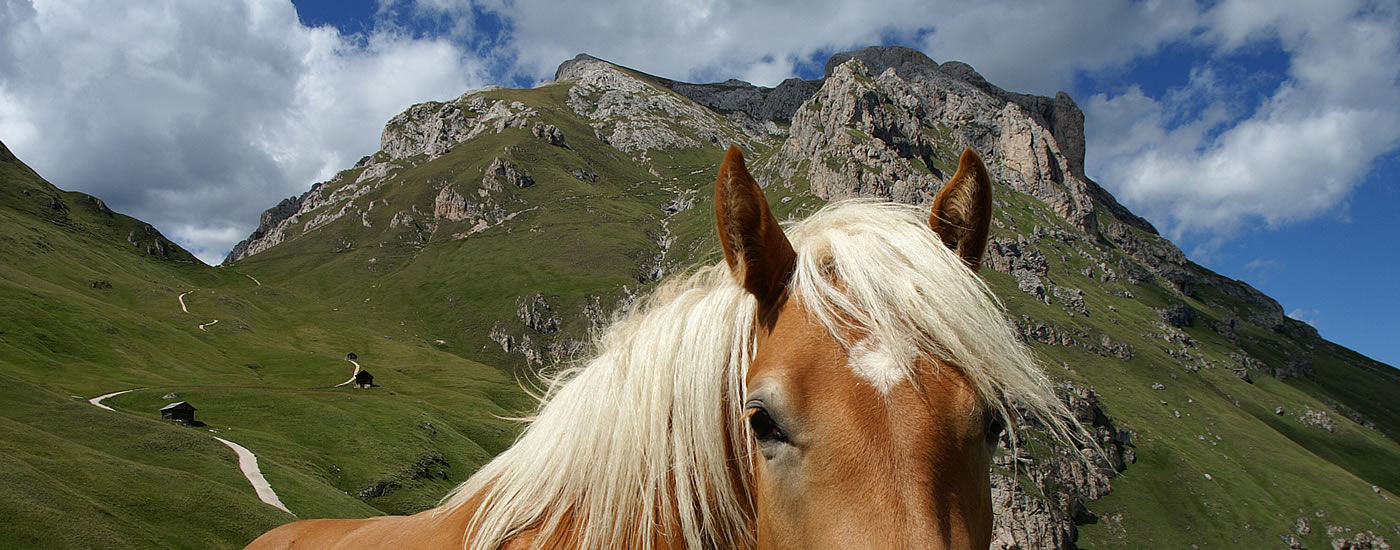 San Martino in Badia, Longiarù und Antermoia