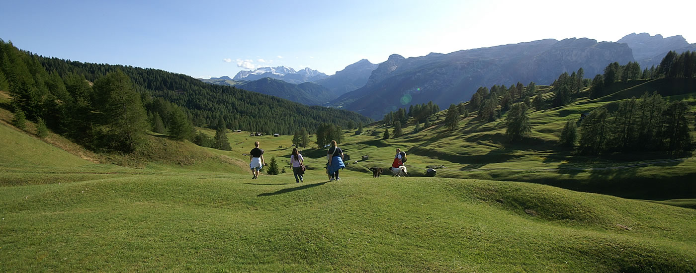 Farm holiday, guest houses and refuges at Kronplatz