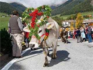 Almabtrieb in Terenten