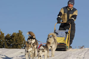 HUSKYSLEDDOG presso Passo delle Erbe Würzjoch ad Antermoia