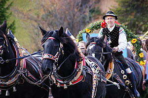 Saint Leonard horse parade