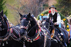 Cavalcata di San Leonardo