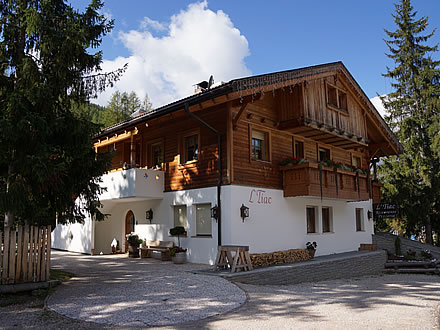 Bed & Breakfast Tiac - Alta Badia