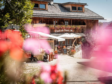 Bauernhof Lüch de Vanc - Kronplatz