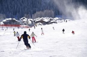 Ski and snowboard