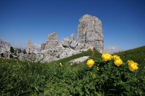 Naturpark der Ampezzaner Dolomiten