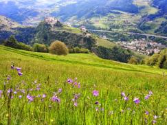 Sentiero del castagno - Valle Isarco - Chiusa-Bolzano