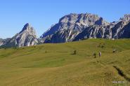 Vista verso il Passo Falzarego