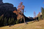 Valle Verde / Grünwaldtal