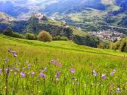 Sentiero del castagno - Valle Isarco / Eisacktaler Keschtnweg