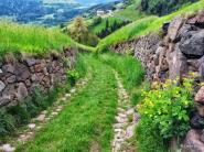 Sentiero del castagno - Valle Isarco / Eisacktaler Keschtnweg