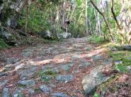 Sentiero del castagno - Valle Isarco / Eisacktaler Keschtnweg