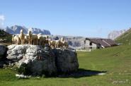 Rifugio Puez 2475 m