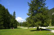 Sentiero per il Rifugio Scotoni