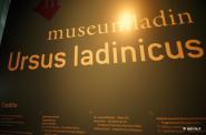 Museum Ladin Ursus ladinicus